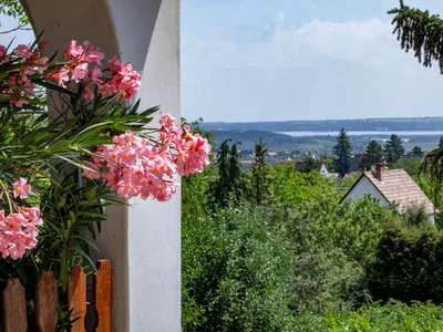 Ferienhaus für 5 Personen (85 m²) in Pákozd 7/10