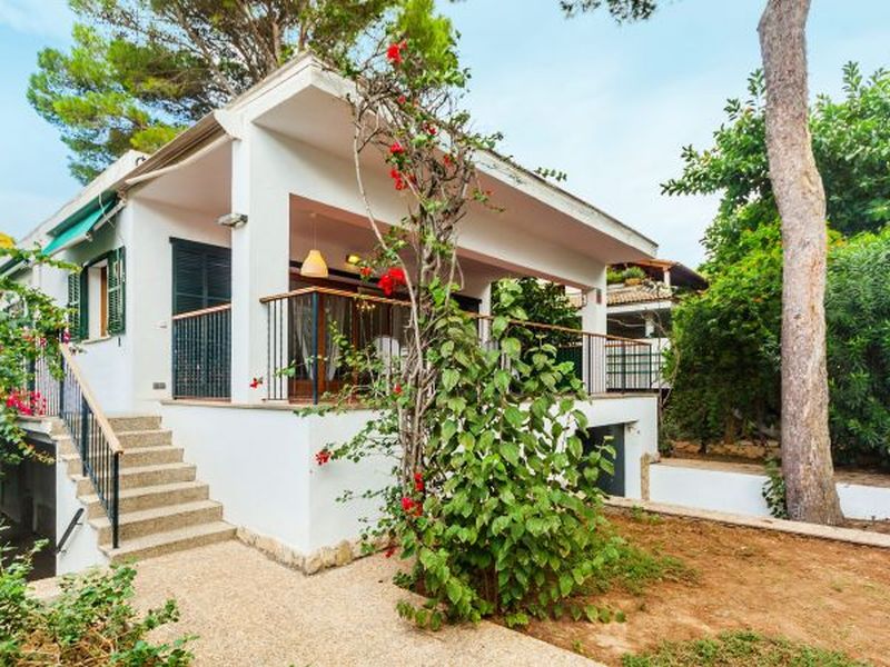 23529041-Ferienhaus-14-Palma de Mallorca-800x600-1