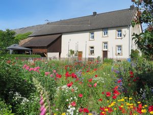 Ferienhaus Südseite