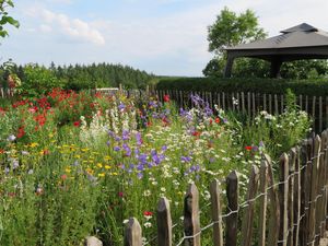 22463685-Ferienhaus-8-Pantenburg-300x225-3