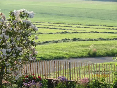Frühlingsblüten