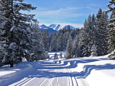 Ferienhaus für 8 Personen in Pany 4/10