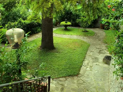 Bild 5
