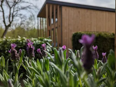Ferienhaus für 6 Personen (32 m²) in Papenburg 2/10