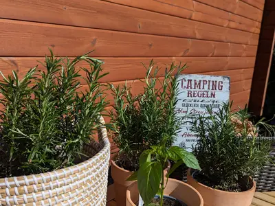 Ferienhaus für 2 Personen (14 m²) in Papenburg 10/10