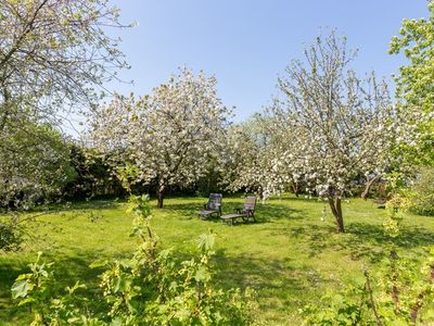 Ferienhaus für 5 Personen (45 m²) in Parchtitz 6/10