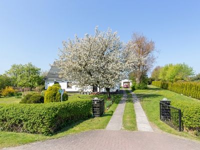 Ferienhaus für 7 Personen (55 m²) in Parchtitz 5/10