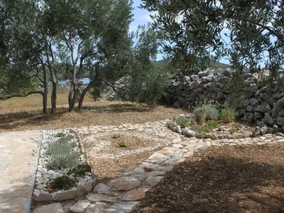 Ferienhaus für 6 Personen in Pašman 7/10