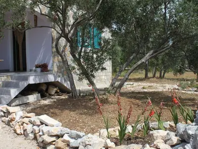 Ferienhaus für 6 Personen in Pašman 9/10