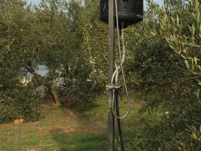 Ferienhaus für 6 Personen in Pašman 8/10