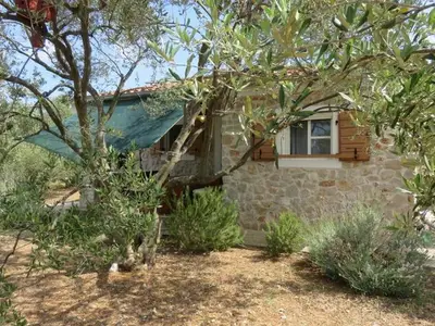Ferienhaus für 5 Personen in Pašman 2/10