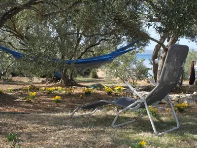 Ferienhaus für 6 Personen in Pašman 5/10