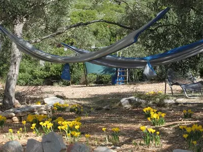 Ferienhaus für 6 Personen in Pašman 6/10