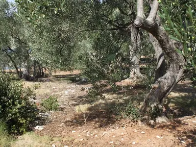 Ferienhaus für 6 Personen in Pašman 7/10