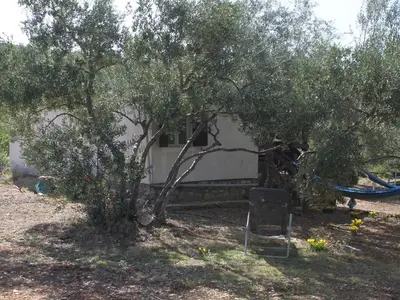 Ferienhaus für 6 Personen in Pašman 9/10