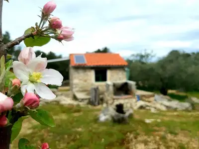 Ferienhaus für 3 Personen in Pašman 7/10