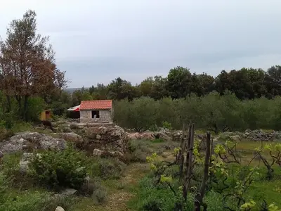 Ferienhaus für 3 Personen in Pašman 9/10