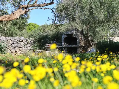 Ferienhaus für 5 Personen (56 m²) in Pašman 8/10