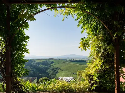 Ferienhaus für 13 Personen (400 m²) in Peccioli 5/10