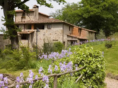 Ferienhaus für 6 Personen (50 m²) in Pelago 5/10
