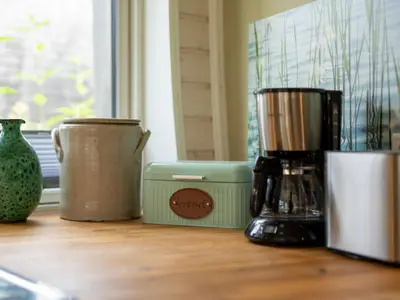 Ferienhaus Kugelhaus Südkugel am Tollensesee - Küche mit viel Ausstattung