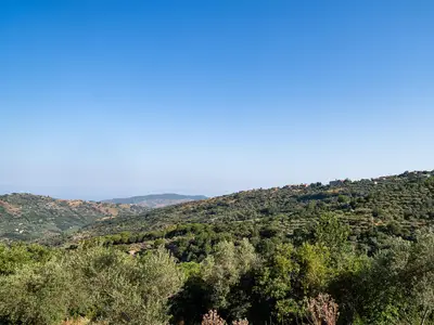 view-from-room