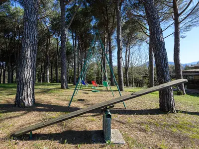 activities