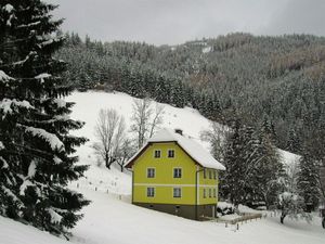 Ferienhaus für 10 Personen (140 m&sup2;) in Pernegg An Der Mur