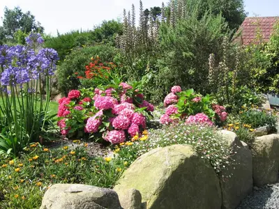 GardenSummer