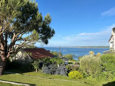 ViewSummer