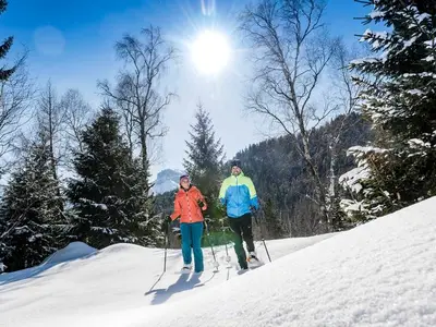 Ferienhaus für 7 Personen (80 m²) in Pertisau 10/10