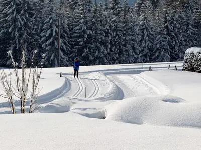 Ferienhaus für 7 Personen (80 m²) in Pertisau 5/10