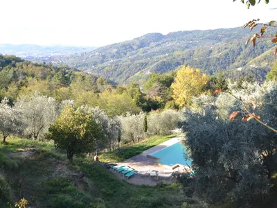 PoolOfHouse