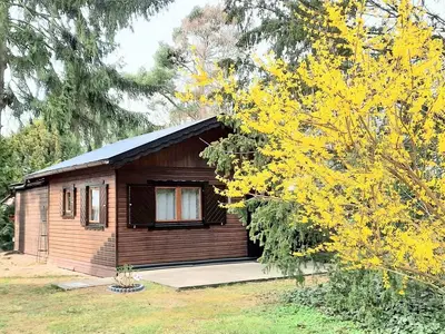Ferienhaus für 2 Personen (50 m²) in Petershagen-Eggersdorf 3/10