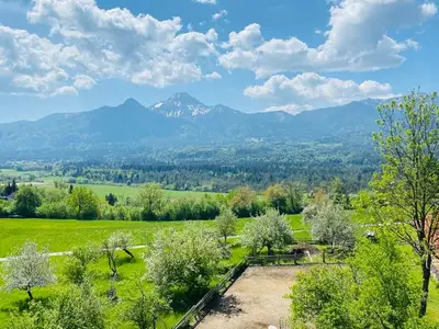 Ferienhaus für 4 Personen (55 m²) in Petschnitzen 3/10