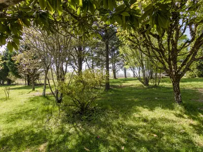 GardenSummer