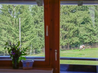 Ferienhaus für 12 Personen (260 m²) in Pfronten 4/10