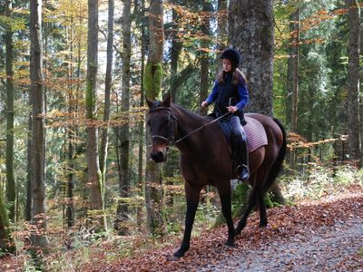 Reitkurs für die Kleinen