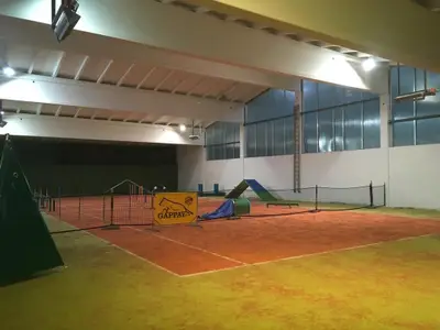 Hunderesort Waldeck - Urlaub mit Hund im Bayerischen Wald