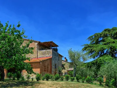 Bild 7