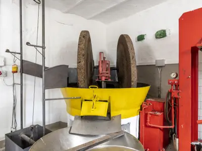 Ferienhaus für 4 Personen (50 m²) in Pietrabruna 3/10
