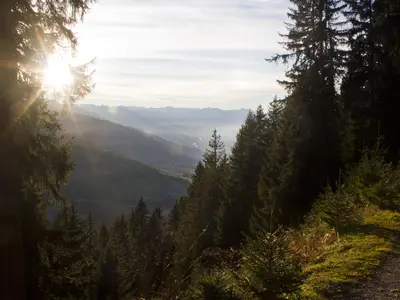 Herbststimmung rund um die Waldhütte
