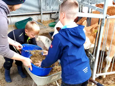 Ferienhaus für 4 Personen (44 m²) in Pilsach 5/10