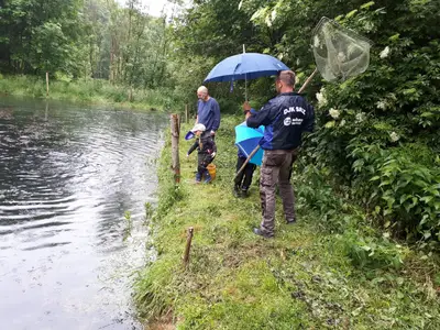 Ferienhaus für 4 Personen (44 m²) in Pilsach 6/10