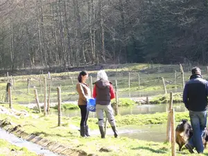 Ferienhaus für 4 Personen (44 m²) in Pilsach