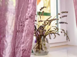 Ferienhaus für 4 Personen (50 m²) in Piran