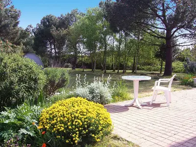 GardenSummer