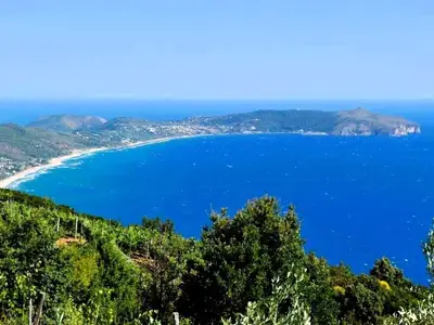 Ferienhaus für 5 Personen (100 m²) in Pisciotta 5/10