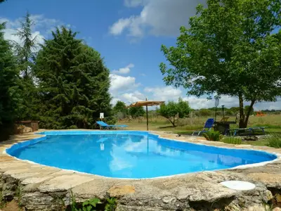 Bild 8