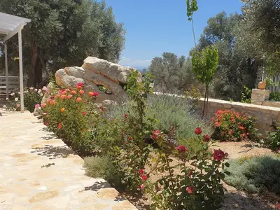 vorderer Garten